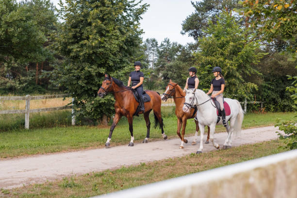 istock Three female riders riding horses along the trail 2092155878