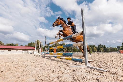 Illuminated by sunlight a female show jumper on brown mare is crossing over the hurdle when jumping during a horse riding work shop at Ranshofen Horse Riding Arena, Austria.\nCanon EOS 5D Mark IV, 1/1000, f/5,6 , 85 mm.