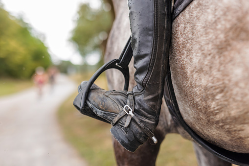 Pretty girl, a horseback rider riding beautiful gray horse, walking along a path on a sunny summer day