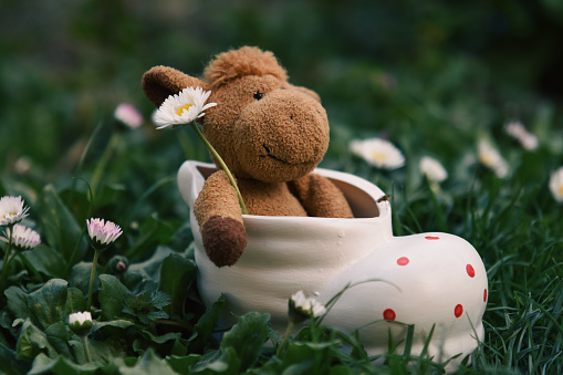 Cow plushie sitting in a ceramic shoe holding a daisy surrounded with grass