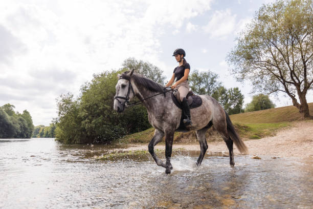 istock Horse and his rider walking through a river 2092164697