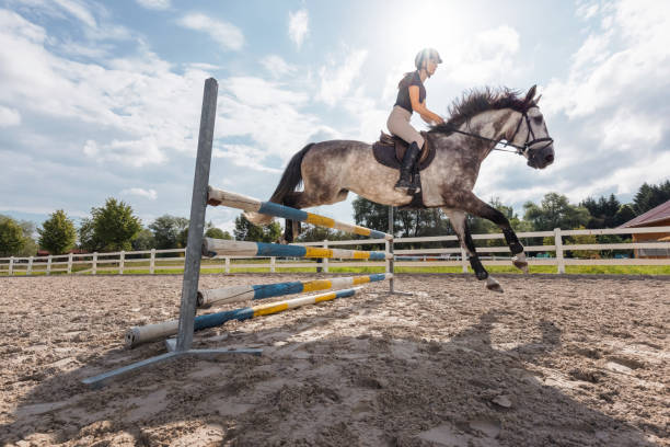 istock Girl on a dapple gray horse practicing jumping over a fence 2092166055