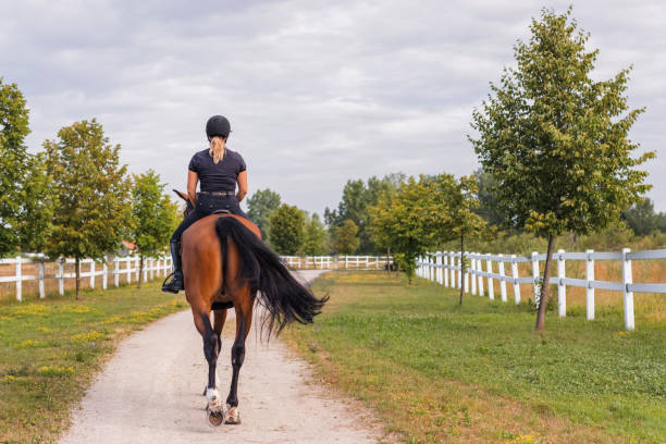 istock Horseback riding along the trail between wood fences and fields 2092169502