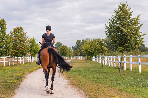 Female rider, horseback riding along the trail that leads between white wood fences and fields. Equestrian leisure activity concept.