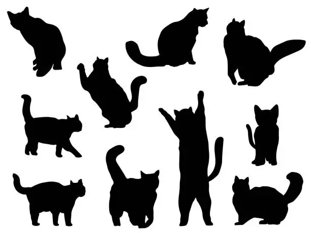 Vector illustration of Silhouettes-Cat-1