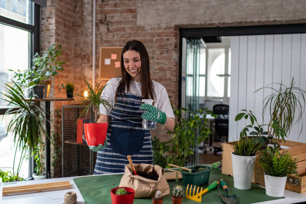 istock Young woman spraying potted plant 2092177937