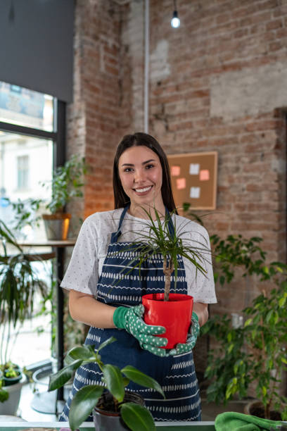 istock Young woman holding potted plant 2092206133