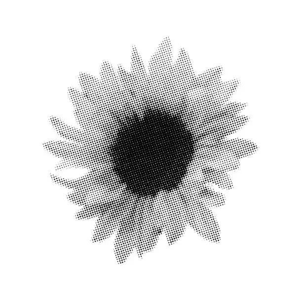 Vector illustration of vintage dot pattern, sunflower flower isolated on white, retro modern design