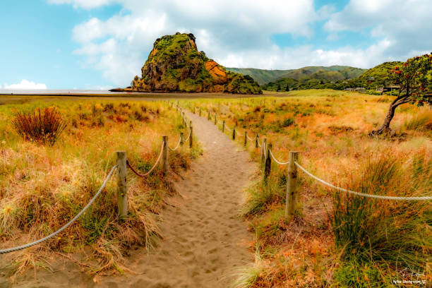 istock Piha Beach in New Zealand 2092256832