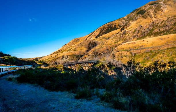 istock Scenery in West Coast New Zealand 2092265619