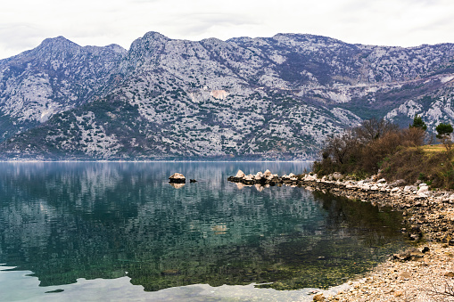 Reflective waters of Kotor Bay reveal rugged mountains, with scattered rocks lining the shore in Montenegro's serene landscape