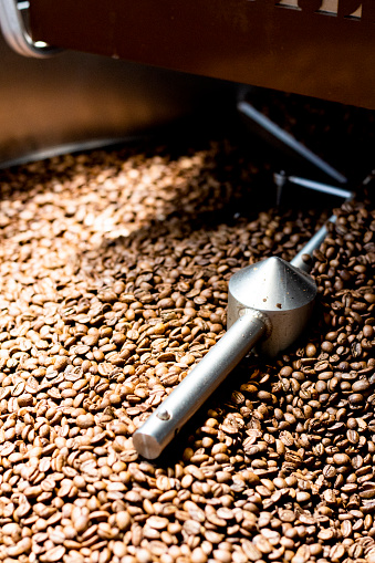 Coffee bean swirling within the confines of a roaster. Bathed in sunlight, its rich brown hue glistens, highlighting the intricate textures and contours of its surface. The warm rays of light create a mesmerizing dance as the bean spins, catching glimpses of deep shadows and golden highlights.