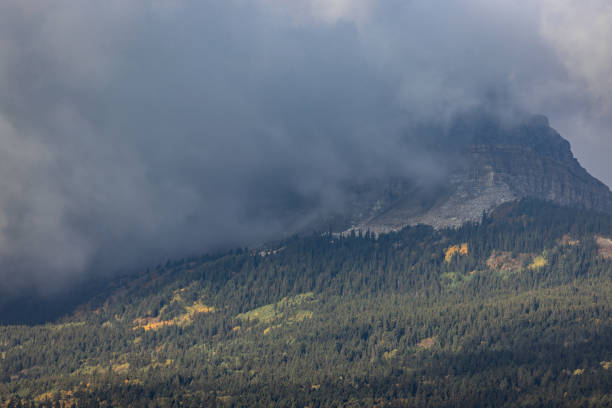 A mountain covered in trees with a cloudy sky in the background. The clouds are dark and heavy, giving the scene a moody and somber atmosphere