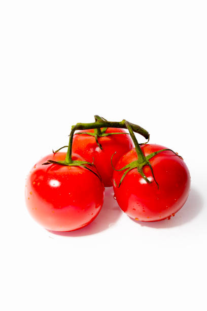 Photography of tomatoes with fresh branch. Freshly picked tomatoes.Red vegetables are rich in nutritional and dietary values ​​thanks to lycopene and anthocyanins