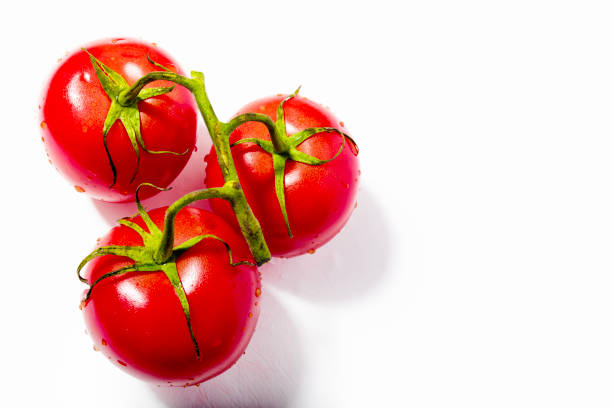 Photography of tomatoes with fresh branch. Freshly picked tomatoes.Red vegetables are rich in nutritional and dietary values ​​thanks to lycopene and anthocyanins