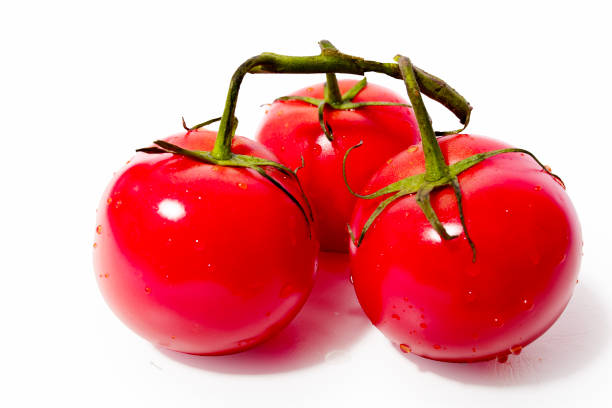 Photography of tomatoes with fresh branch. Freshly picked tomatoes.Red vegetables are rich in nutritional and dietary values ​​thanks to lycopene and anthocyanins