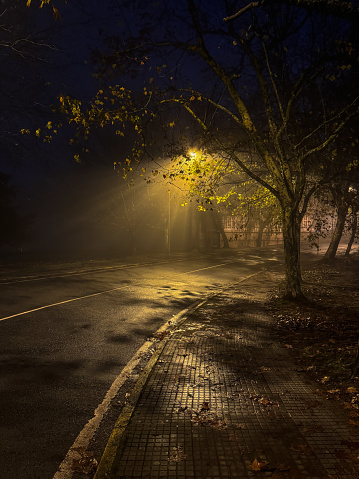 In the quietude of the evening, a solitary streetlamp stands sentinel, casting a golden hue over the cobblestone path. The delicate leaves that remain on the tree branches above are aglow with the lamp's warm light, appearing like flecks of amber against the night sky. Wet leaves, remnants of the day's rain, stick to the glistening path, adding texture to the scene. The street is devoid of life, creating a moment of reflection for the observer. It's a snapshot of fall's gentle descent into the longer nights of winter, a time when the world slows down and nature prepares for rest.