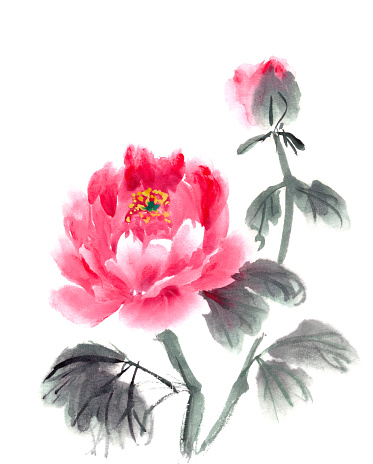 peony, Chinese traditional brush painting on rice paper, pink, purple. High quality illustration
