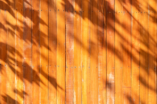 Tree leaves shadow on wooden wall background