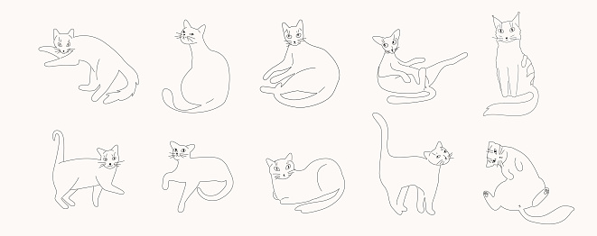 Line vector cat illustration set. Feline group of hand drawn animals in different poses. Contour of russian blue, british shorthair, bengal, siamese, sphynx and burmese. Friendly cute illustration.