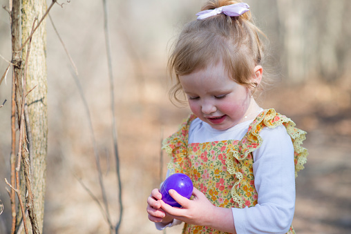 Cute little girl in a yellow dress and bow in her hair is holding a purple plastic Easter egg full of candy and chocolate that she found outdoors while on a family Easter egg scavenger hunt.