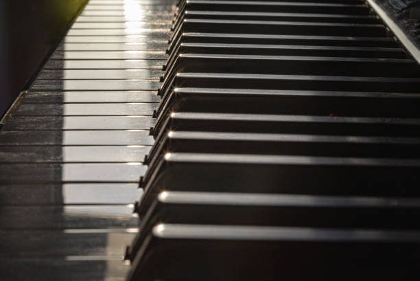 Piano keys side view with shallow depth of field. Classic grand piano keyboard background, Space for text, Selective focus.