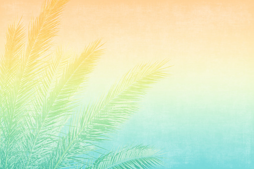 Palm Leaf Tree Sunlight Clear Sky Grunge Abstract Background Orange Yellow Teal Green Blue Bronze Golden Coral Ombre Texture Summer Spring Travel Tropic Dreamlike Pattern Sunny Seascape Horizon Backdrop