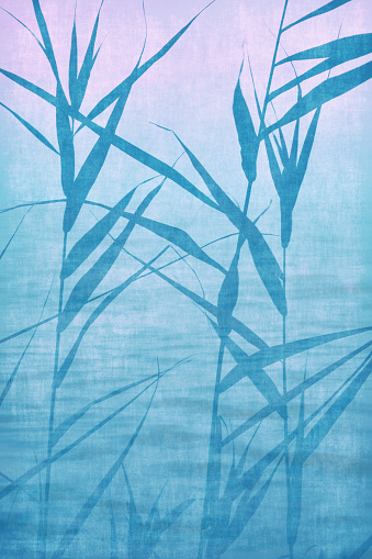 Blue Teal Shade Leaf Blade of Grass In Silhouette Bamboo Leaf Reed Marram Grass Pink Sky Grunge Wave Pattern Paper Texture Abstract Background Multiple Exposure Macro Photography Cute Backdrop Design template for presentation, flyer, card, poster, brochure, banner