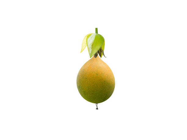 Passion Fruit in the food processor view from above