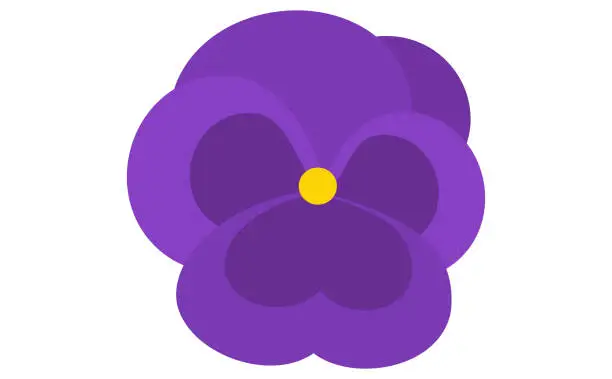 Vector illustration of purple pansies