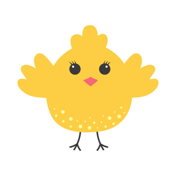 süßes küken. tierbaby. cartoon flache vektorillustration. - chicken baby chicken animal egg animal stock-grafiken, -clipart, -cartoons und -symbole