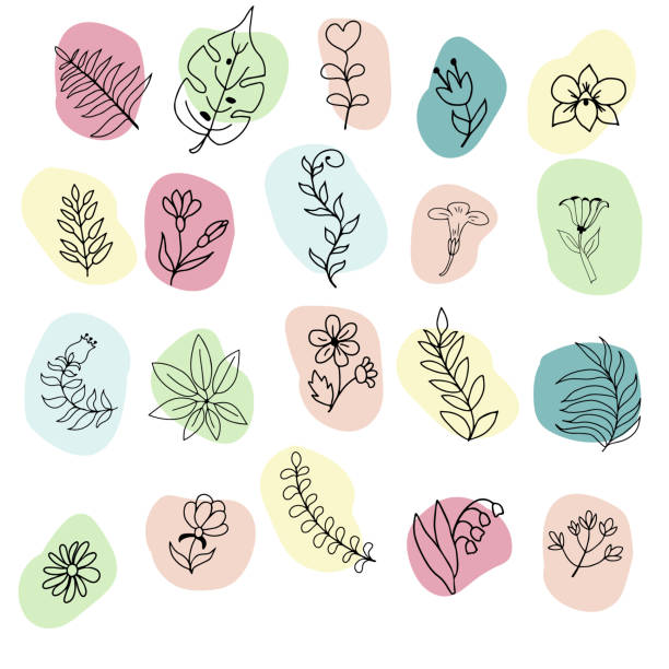 Design of herbs in Line art style. vector art illustration