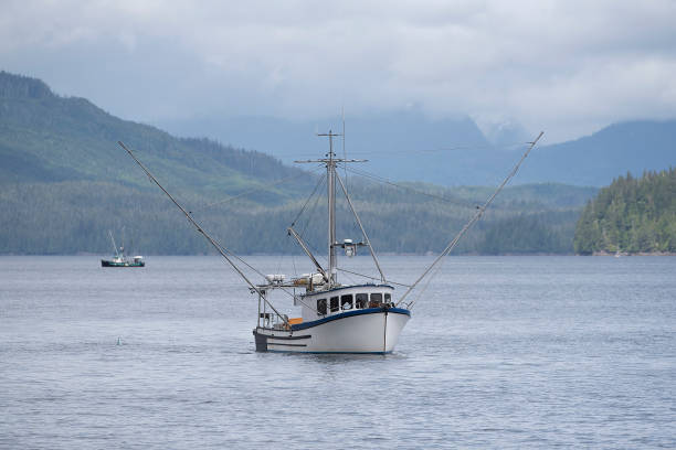 istock Alaska Inside Passage Commercial Fishing Vessel 2092872927