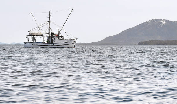 istock Alaska Inside Passage Commercial Fishing Vessel 2092873433