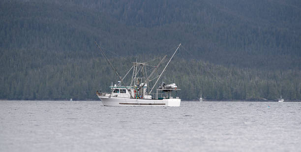 istock Alaska Inside Passage Fishing Vessel 2092873439