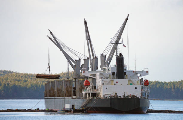 istock Logging Vessels Moves Old Growth Harvest in The Alaska Inside Passage 2092873449