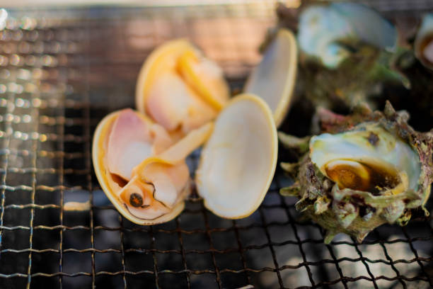 Charcoal-grilled clams and turban shells.