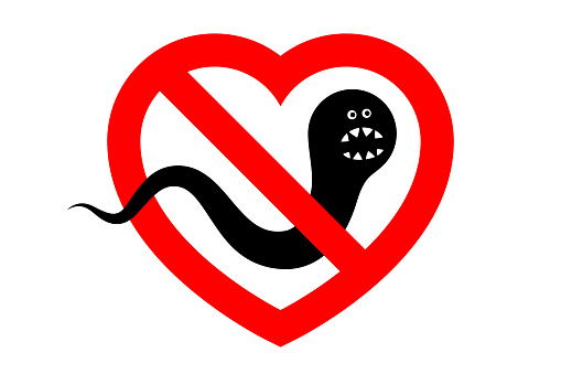 Prohibitory sign shaped like heart symbol and angry worm inside. Concept of worm infection, heartworm, roundworm parasitizing in heart, helminthiasis and anthelmintic treatment