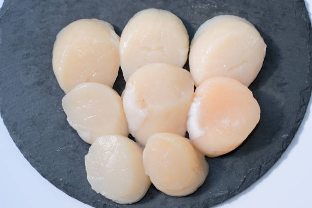 istock This is a photo of a large scallop 2092973105