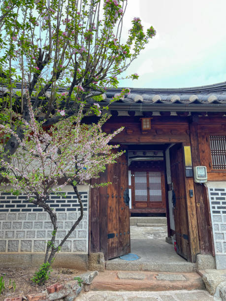 istock Spring starts in Seoul Korea 2092987459