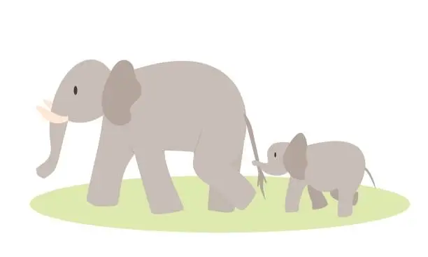 Vector illustration of Mother elephant and the baby graphic vector illustration