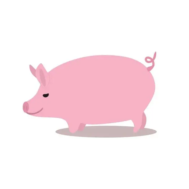 Vector illustration of Cute Pink Pig Standing on White Background Vector Illustration