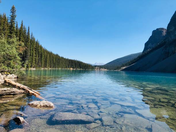 istock a view of the beautiful waters and forest on the edge 2093049533