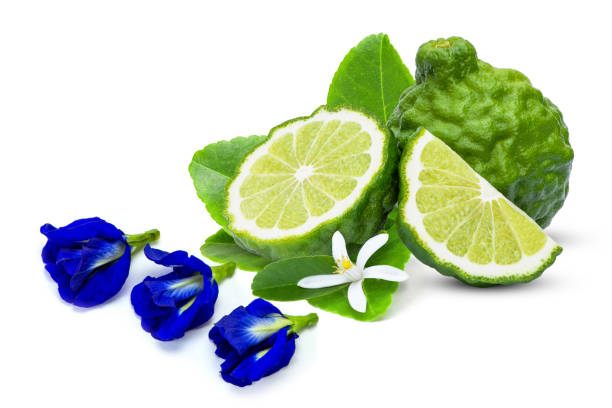 istock Bergamot fruit and butterfly pea flower 2093064924