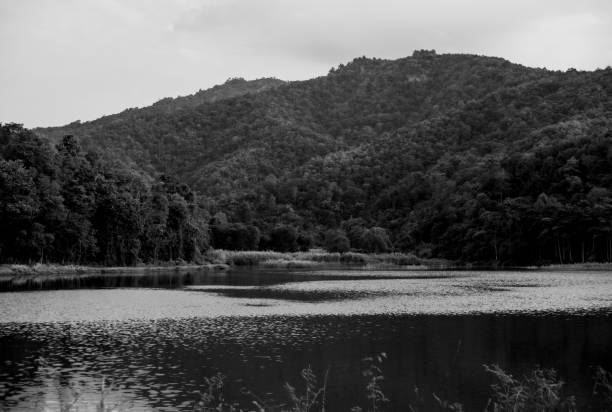 River nest between two rocky cliffs in Provence, in South of French