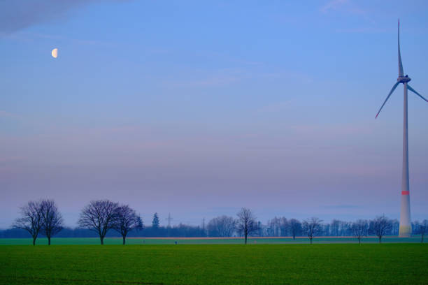 Landscape- trees in green field with Moon