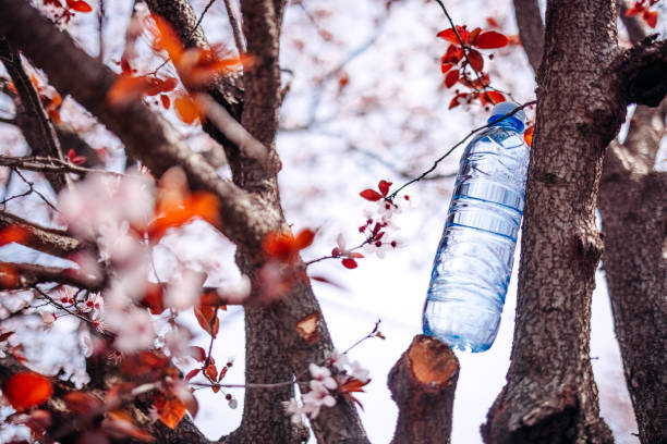 Plastic water bottle