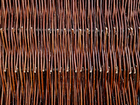 wicker braided wall of willow red rods in the garden of medieval style with supporting poles dividing the flowerbeds of the herb garden girls' work, spring, winter