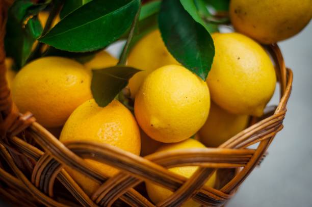 istock Ripe fresh lemons are in a basket 2093241135