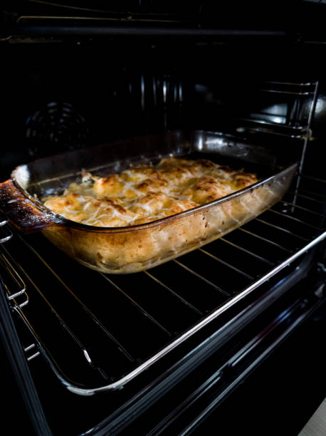 istock baked chicken fillet 2093267243